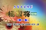 杨家将续集 全剧