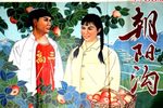 朝阳沟 1963下载