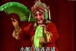 花打朝 全