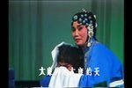 卖苗郎下载