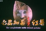 七品知县卖红薯 超清版下载