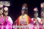 白莲花 全场下载