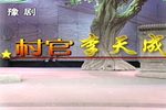 村官李天成 高清全集