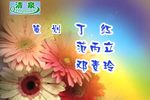 洛阳桥