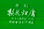 梨花归唐