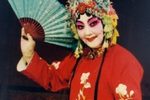 花打朝 上海版下载