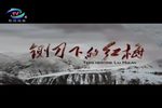 铡刀下的红梅 豫剧全场戏