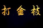 打金枝 刘忠河版