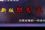 樊梨花征西 高清全集