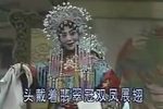 打金枝 全本