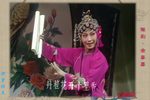 金銮禧下载
