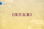 深宫血案 豫剧全场戏