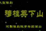 穆桂英下山 大型豫剧全场戏  高清