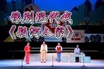 颍河人家下载