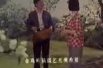 金鸡引凤 全集下载