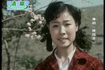 桃园喜 电影