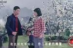 三全其美