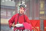大红袍 第10集下载