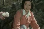 小白鞋说媒·桃园喜 上集