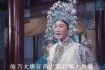 樊梨花 下集