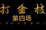 打金枝 刘忠河版