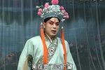 狸猫换太子 5