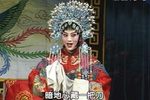 狸猫换太子 4