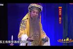 三打金枝 三敬酒 哭灵一折下载