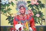 大红袍 第13集下载