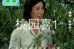 桃园喜 80年