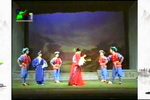 七品芝麻官 下乡察看-贺喜特别节目