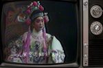 打金枝 1980年下载