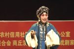 秦香莲 见皇姑 一折下载