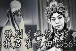 桃花庵 搜庵