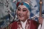 花枪缘 对花枪