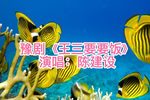 王三要要饭