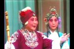 对花枪下载
