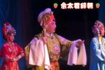 佘太君辞朝