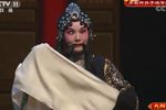 宇宙锋 超清央录版 折子戏