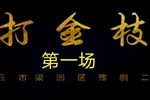 打金枝 刘忠河版  第一场