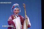对花枪