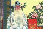 豫剧大红袍
