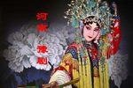 阴阳恨下载