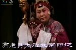 对花枪 南营