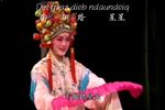 金童玉女开台 配壮文字幕