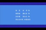 天上恋曲下载