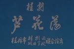 芦花荡