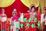 打金枝下载