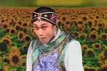 懒大嫂