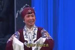 白罗衫 新版下载